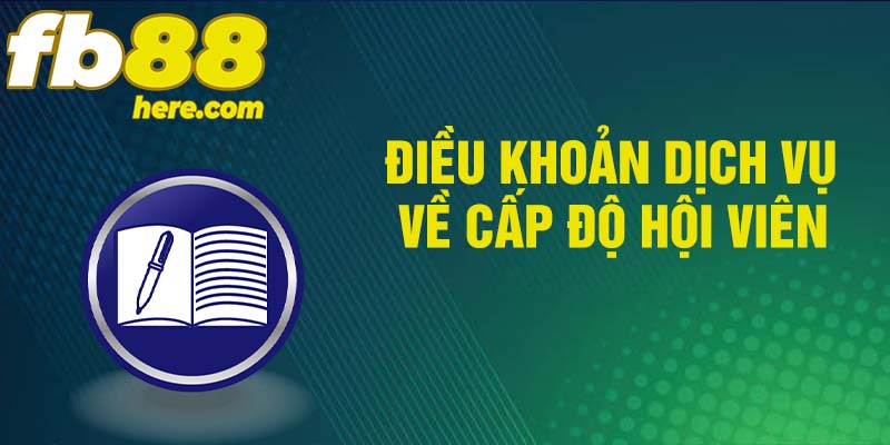 Điều khoản dịch vụ cho cấp độ hội viên hiện nay