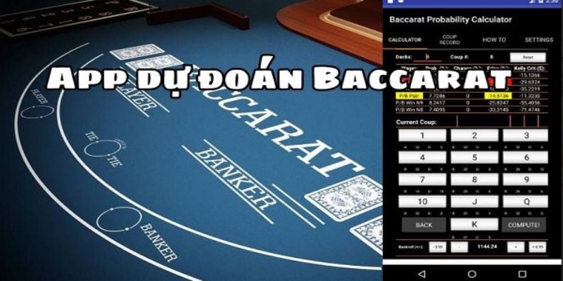 Các lưu ý cần biết khi dùng tool baccarat